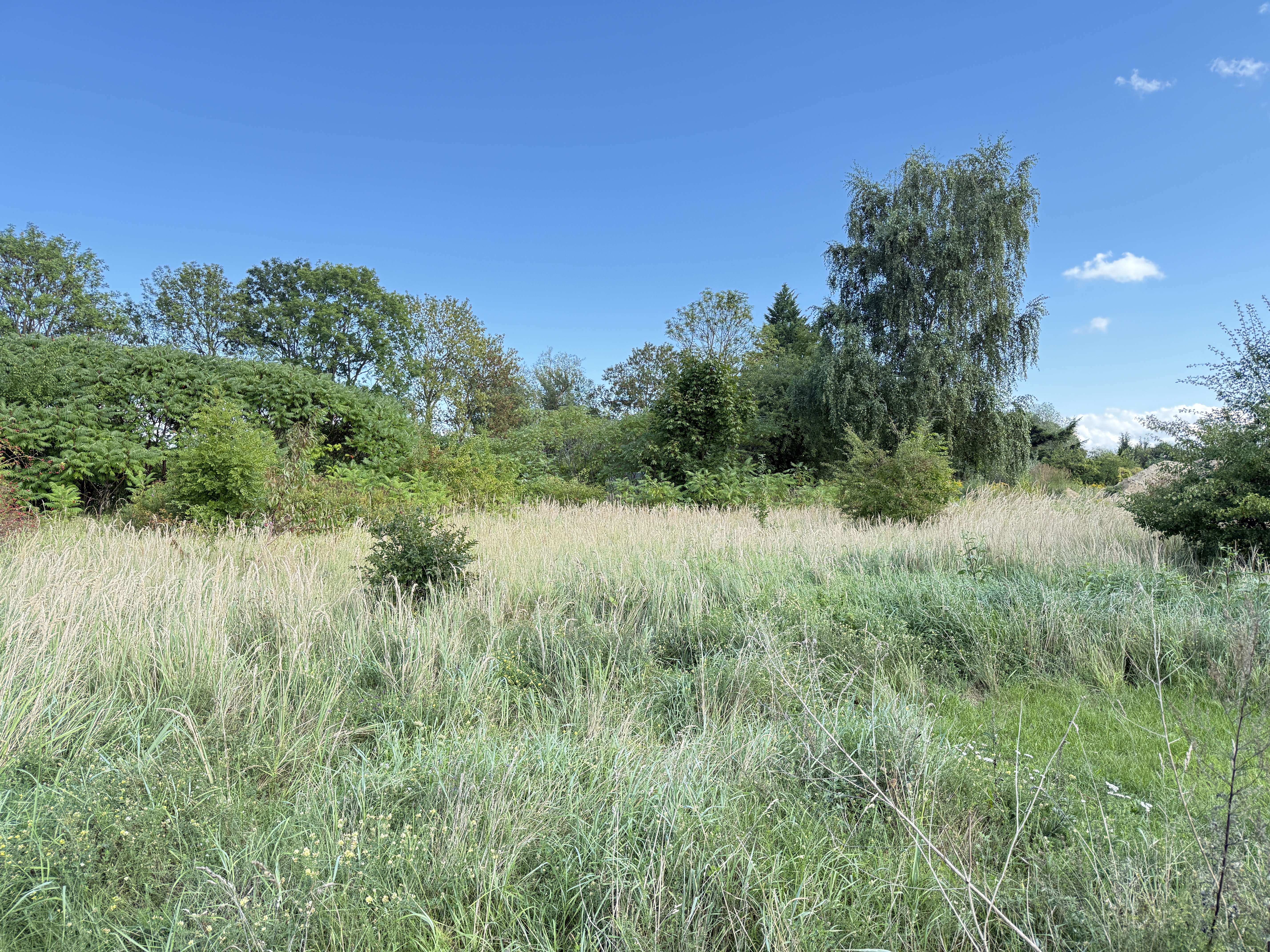 Bild 13