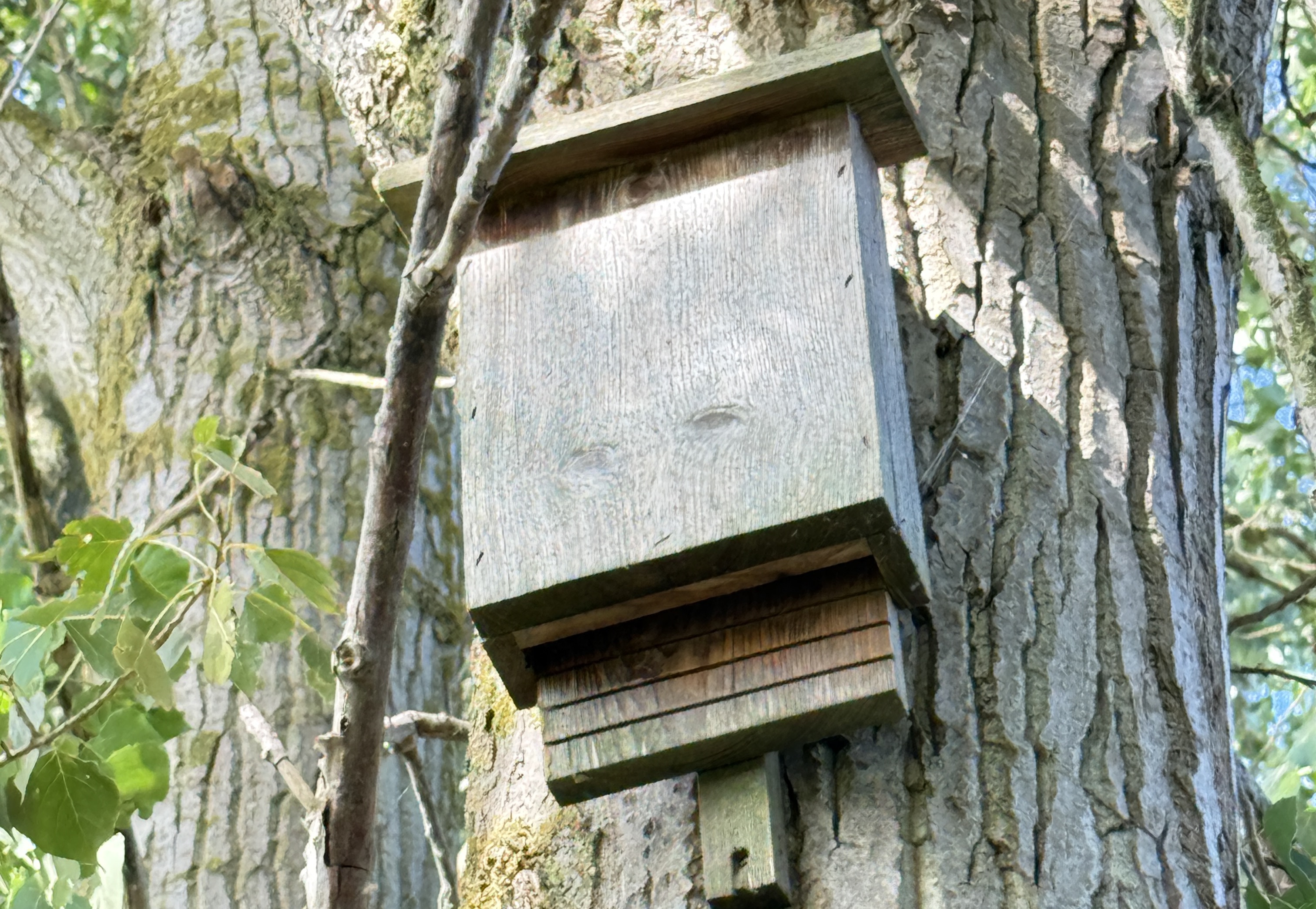 Bild 18